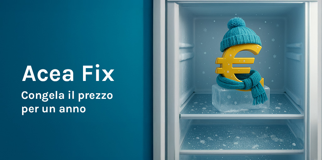 Simbolo dell'euro nel congelatore