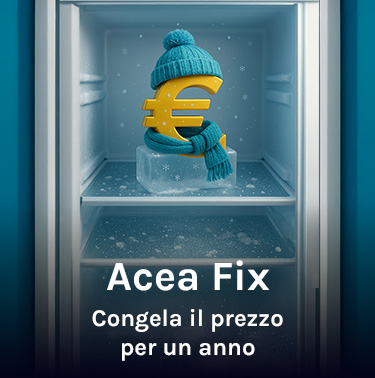 Simbolo dell'euro nel congelatore