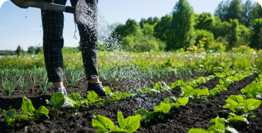 rispetto e tutela dell'ambiente