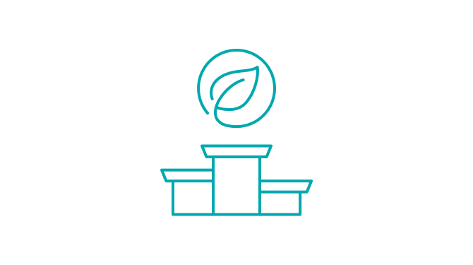 Le società più green secondo i tifosi nei campionati europei