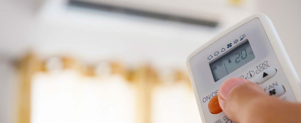 Come diventare un'azienda green